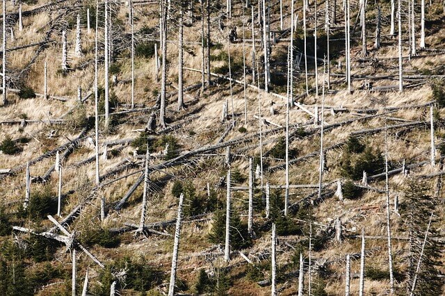 日本と世界が抱える25種類の環境問題 地球を守るために私達ができる身近な対策や取り組みは 22世紀を生きる君へ