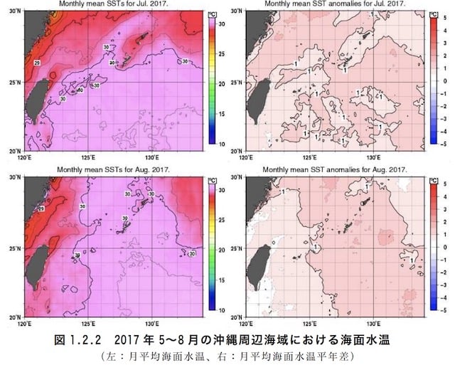 海水温度の上昇が原因 １年で95 のサンゴ礁が白化 壊滅的な現状から回復するために私達ができることは 22世紀を生きる君へ